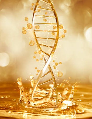 ΤΕΣΤ DNA – ΑΝΤΙΓΉΡΑΝΣΗΣ Πώς λειτουργεί